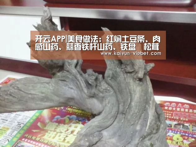 开云APP|美食做法:红焖土豆条、肉感山药、蒜香铁杆山药、铁盘焗松茸(图1) 开云品牌