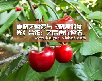 爱奇艺暂停与《奇妙的食光》合作:之后再行评估_开云品牌(图1) 开云品牌