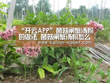 “开云APP”菌菇闸蟹汤粉的做法_菌菇闸蟹汤粉怎么做_牛妈厨房的菜谱(图2) 开云频道