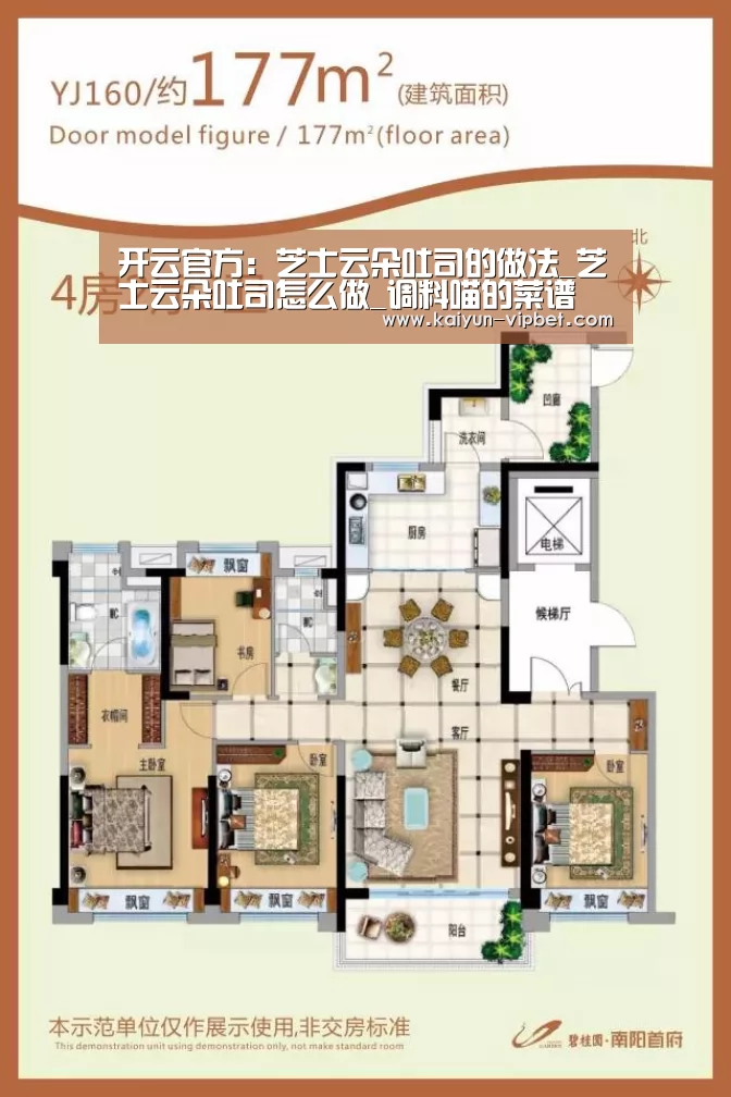 开云APP