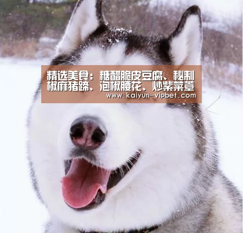 精选美食:糖醋脆皮豆腐、秘制椒麻猪蹄、泡椒腰花、炒紫菜薹做法‘开云官方’(图2) 开云频道