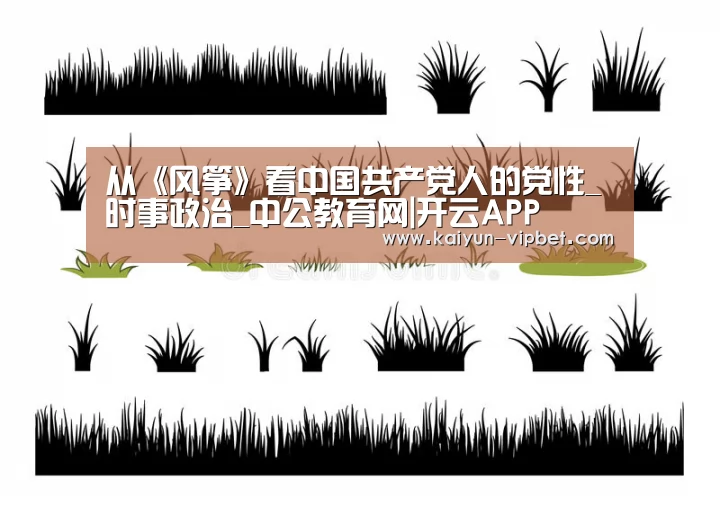 开云频道
