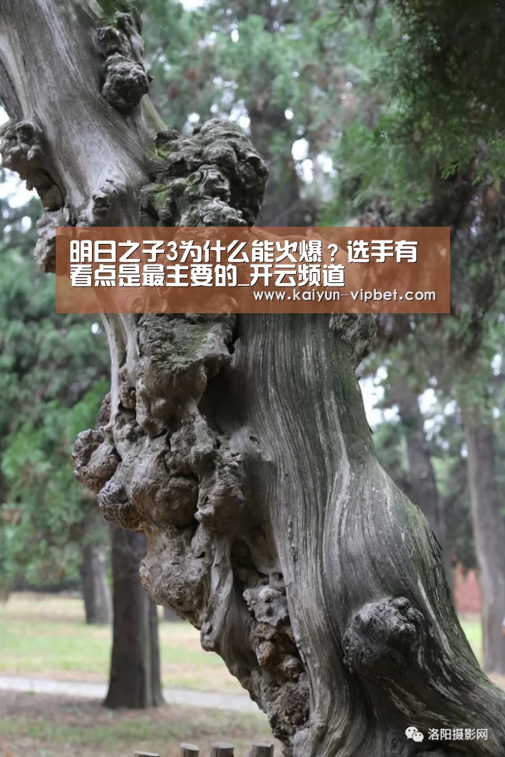 明日之子3为什么能火爆?选手有看点是最主要的_开云频道(图3) 开云频道