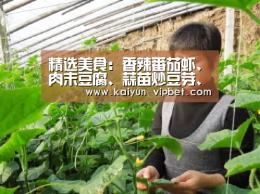 精选美食:香辣番茄虾、肉末豆腐、蒜苗炒豆芽、酱香丸子的做法“开云频道”(图2) 开云官方