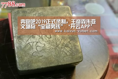 奔跑吧2019正式录制,王彦霖朱亚文堪称“宝藏男孩”‘开云APP’(图2) 开云APP