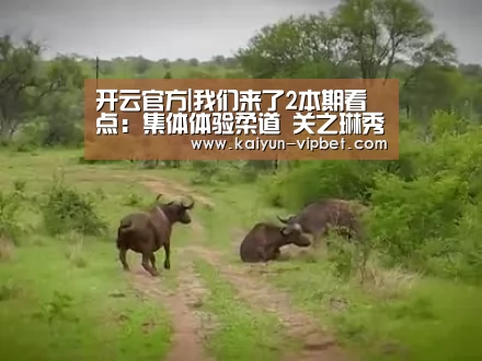 开云官方|我们来了2本期看点:集体体验柔道 关之琳秀独家防身术(图1) 开云APP