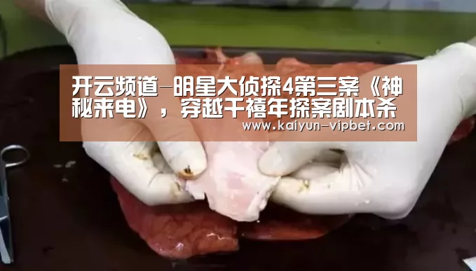 开云频道-明星大侦探4第三案《神秘来电》,穿越千禧年探案剧本杀(图1) 开云品牌