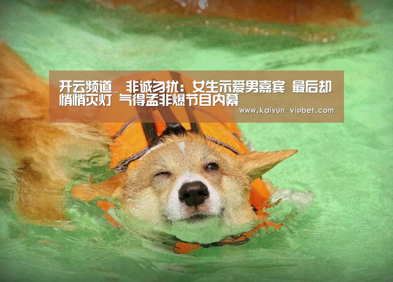 开云频道_
非诚勿扰:女生示爱男嘉宾 最后却悄悄灭灯 气得孟非爆节目内幕(图2) 开云APP